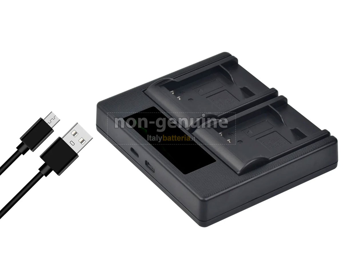 Batteria Panasonic D-LUX2