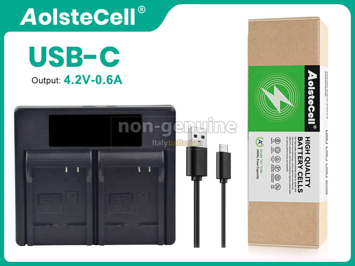 Batteria Panasonic D-LUX2