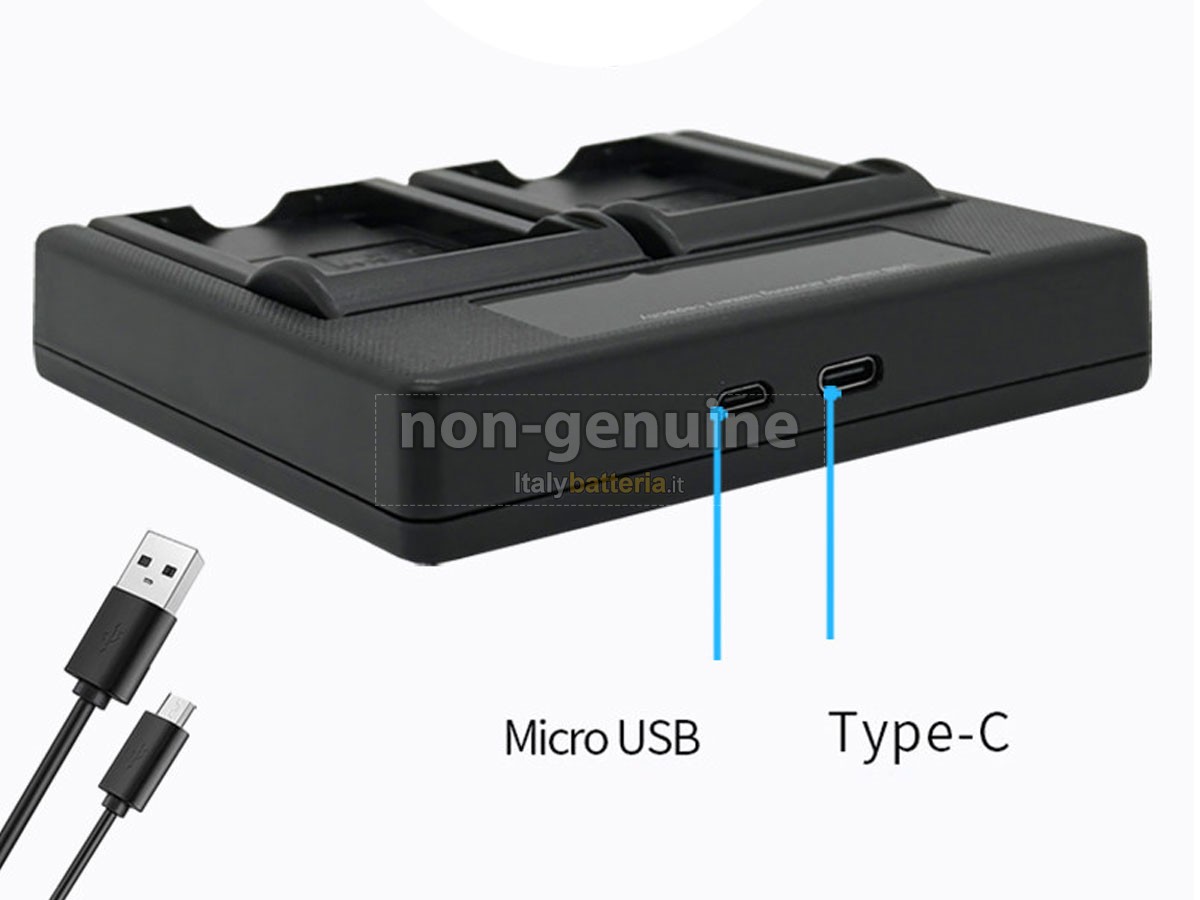 Batteria Panasonic D-LUX2