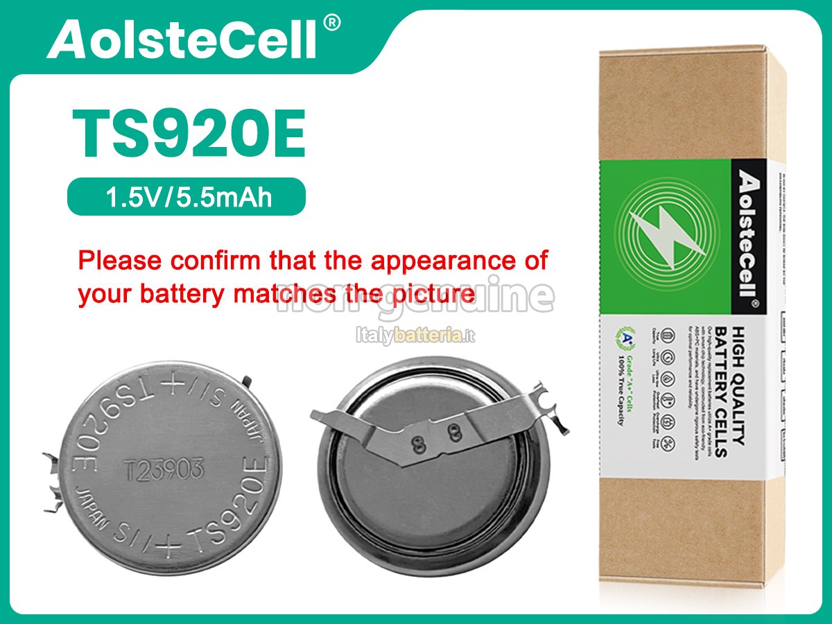 Batteria Panasonic TS920E