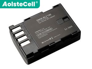 Panasonic BLF19E batteria