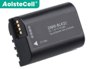 Panasonic BLK22 batteria