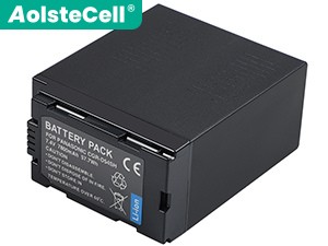 Panasonic CGA-D54SE/1B batteria