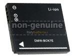 Panasonic Lumix DMC-FX80V batteria