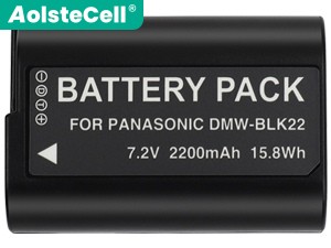 Panasonic DC-S5M2 batteria