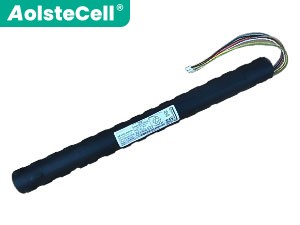 Panasonic N4HULSA00099 batteria