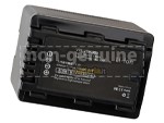 Panasonic HDC-TM60 batteria