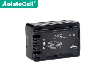 Panasonic VW-VBK180 batteria
