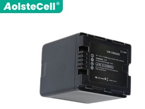 Panasonic HDC-HS900 batteria