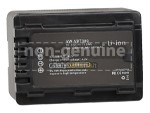 Panasonic HC-W590MS batteria