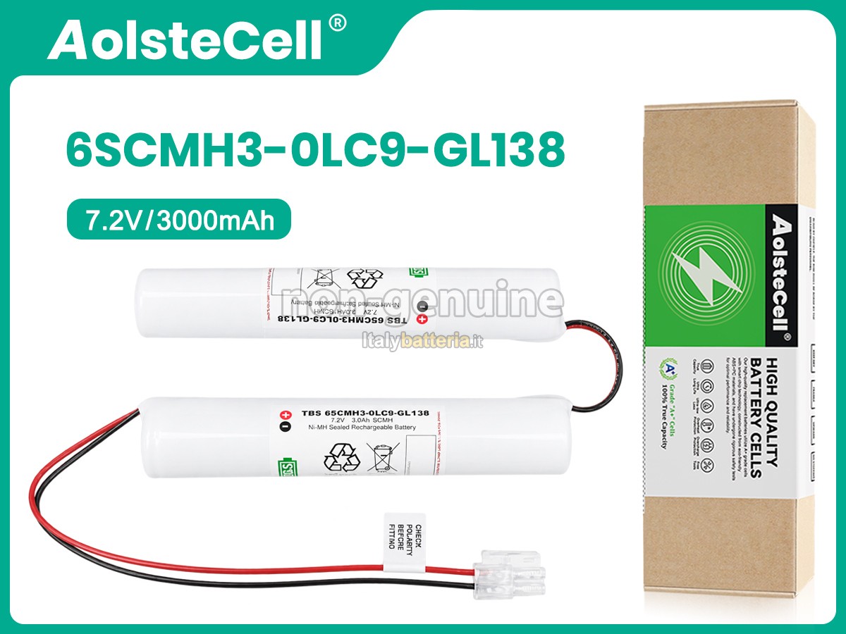 Batteria Philips 6SCMH3-0LC9-GL138