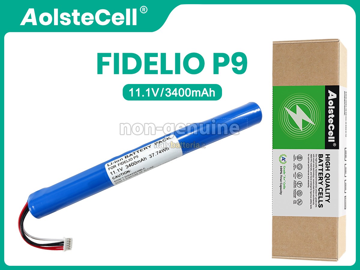 Batteria Philips FIDELIO P9