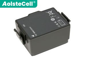 Philips 989803150161 batteria