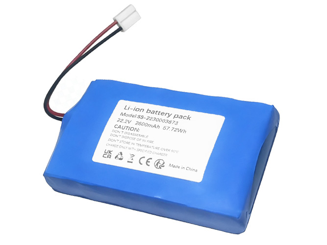 Rowenta SS-2230003873 batteria