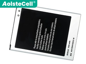 Samsung IV mini batteria