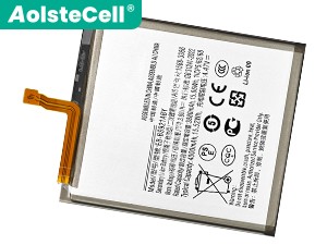 Samsung Galaxy S24 5G batteria