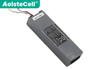 Batteria per Segway Ninebot NCAF3610A