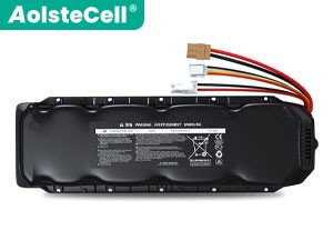 Segway Ninebot NEE1006-M batteria