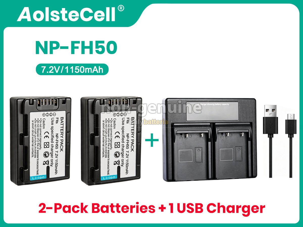 Batteria Sony NP-FH60