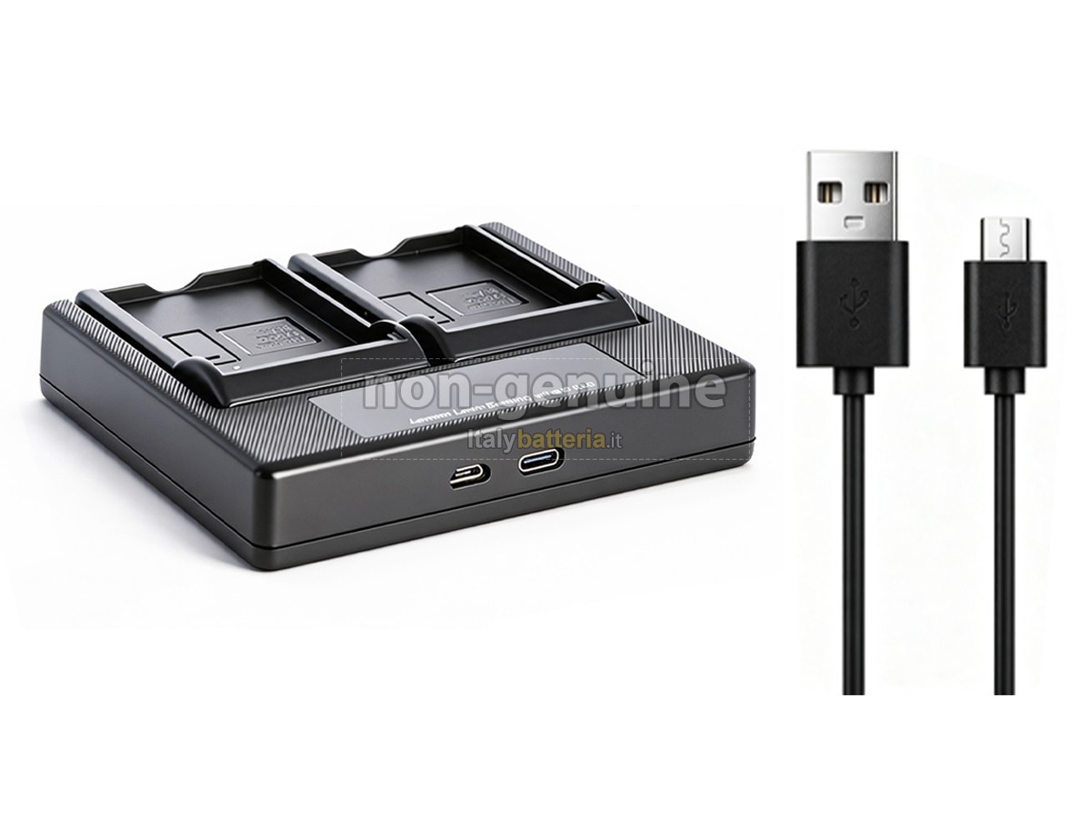 Batteria Sony NP-FH60