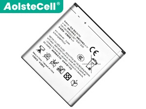 Sony MK16i batteria