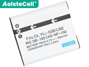 Sony MHS-FS2K batteria