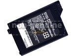 Sony PSP-S110 batteria