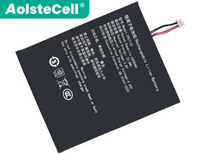 Teclast 2957133 batteria