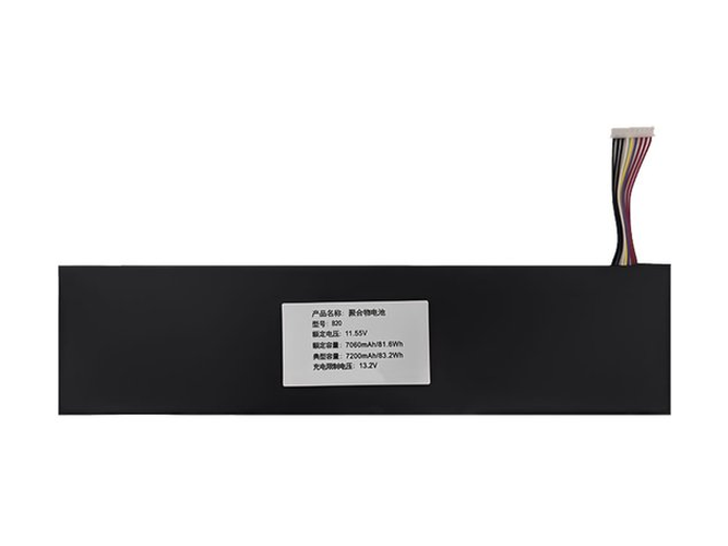 TongfangPC B20 batteria