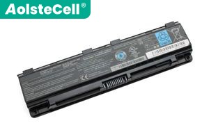 Toshiba PABAS275 batteria