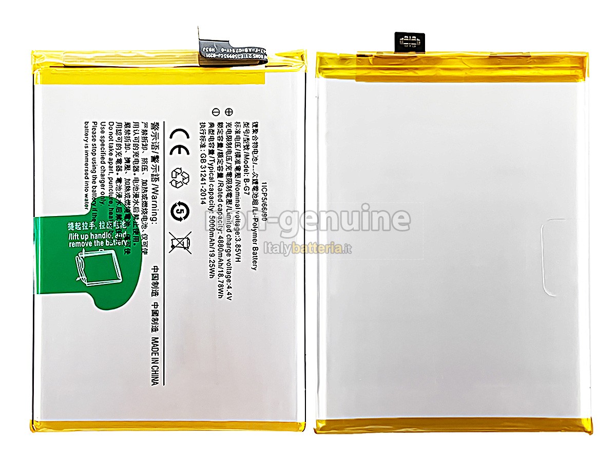 Batteria Vivo B-G7