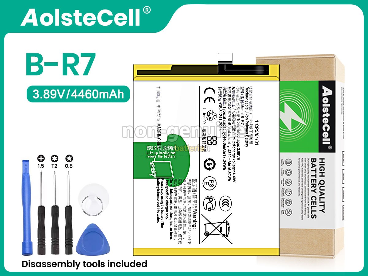 Batteria Vivo B-R7