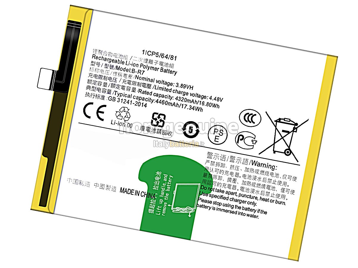Batteria Vivo B-R7