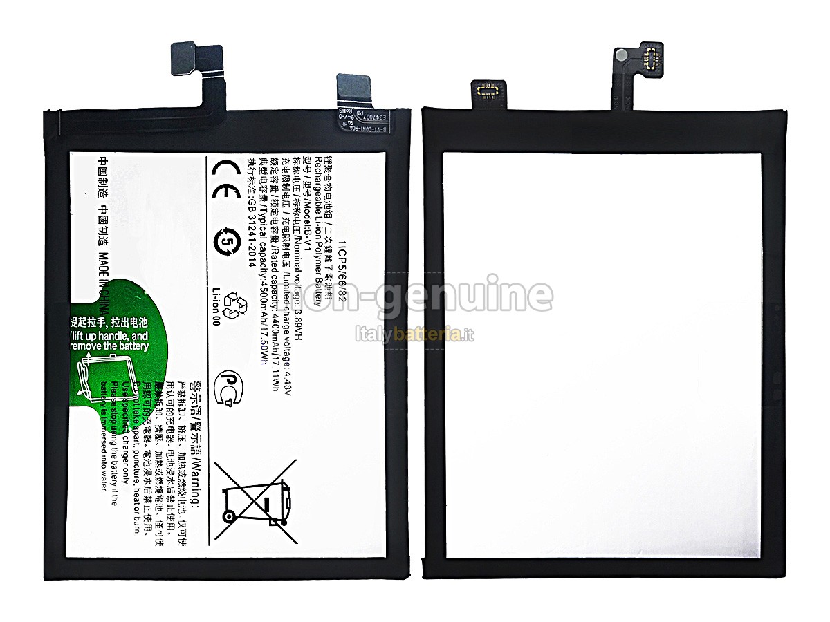Batteria Vivo B-V1