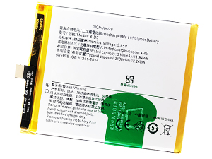 Vivo B-D3 batteria