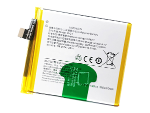 Vivo B-G1 batteria