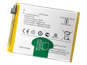 Vivo B-G2 batteria