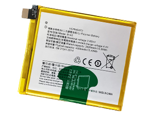 Vivo B-G3 batteria