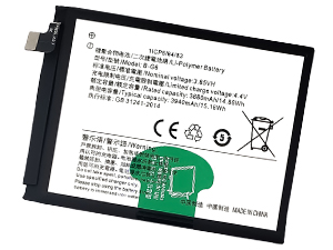 Vivo B-G6 batteria