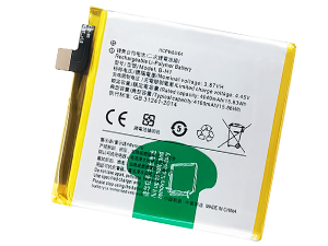 Vivo V17 Pro batteria