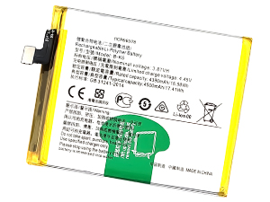 Vivo V19 Neo batteria