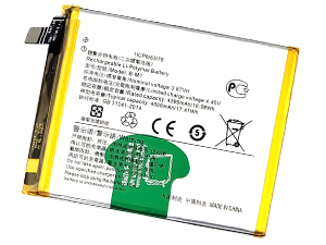 Vivo B-M1 batteria