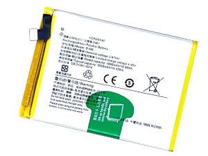 Vivo B-M6 batteria