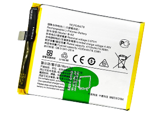 Vivo B-N2 batteria