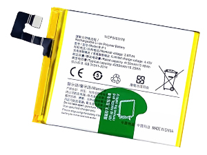 Vivo B-P1 batteria
