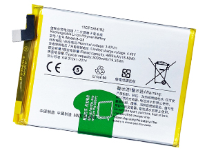 Vivo B-Q8 batteria