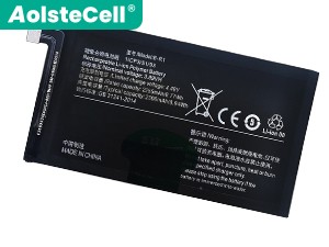 Vivo B-R1 batteria