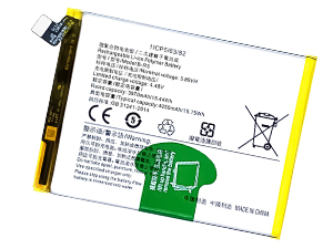 Vivo B-R5 batteria