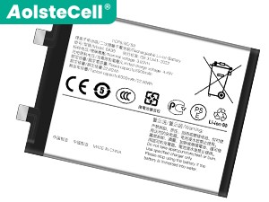 Vivo Y200 batteria