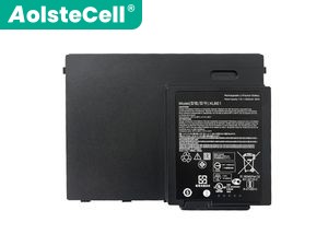Xplore XLBE1 batteria